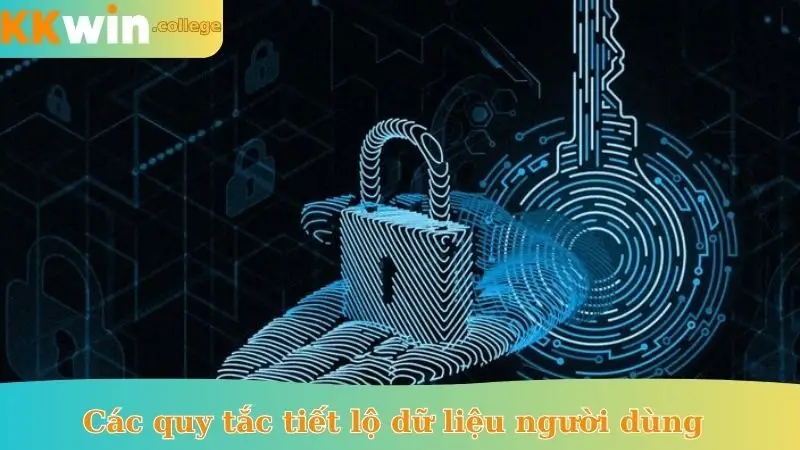 Các quy tắc tiết lộ dữ liệu người dùng