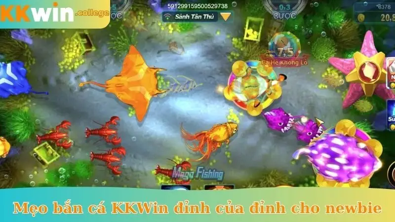 Mẹo bắn cá KKWin đỉnh của đỉnh cho newbie